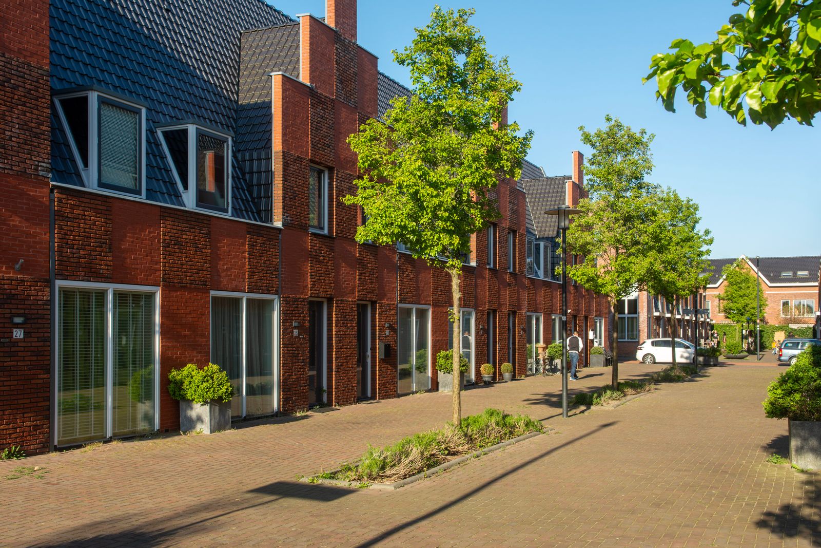 Tree-lined street in the Clintonville neighborhood of Columbus